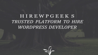 HireWPGeeks Trusted Platform To Hire WordPress Developer!