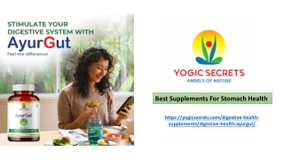 Best Supplements For Stomach Health
