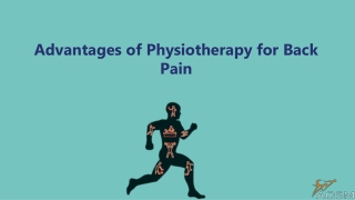 Advantages of Physiotherapy for Back Pain