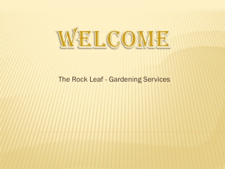 Looking for the best Landscaper in Pinner