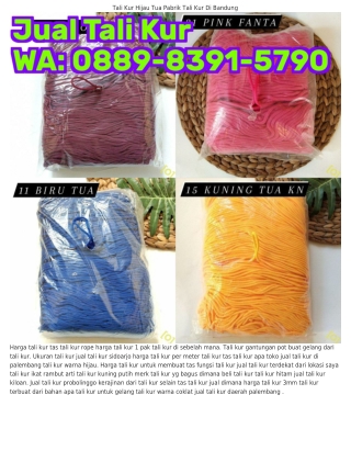 Ö88ᑫ–83ᑫ1–5ᜪᑫÖ (WA) Produsen Tali Kur Tali Kur Sd Warna Apa