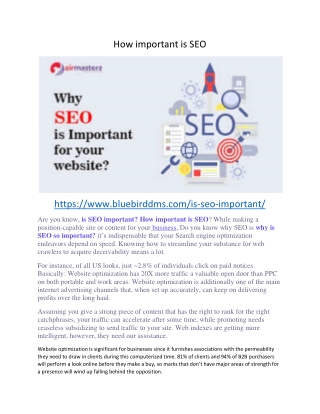 How important is SEO