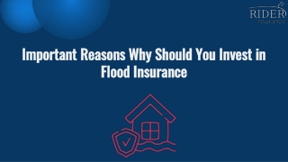 Important Reasons Why Should You Invest in Flood Insurance
