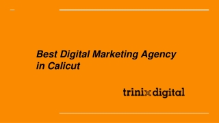 Best Digital Marketing Agency in Calicut