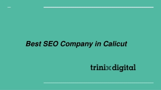 Best SEO Company in Calicut
