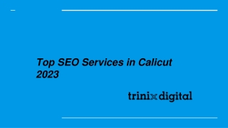 Top SEO Services in Calicut 2023