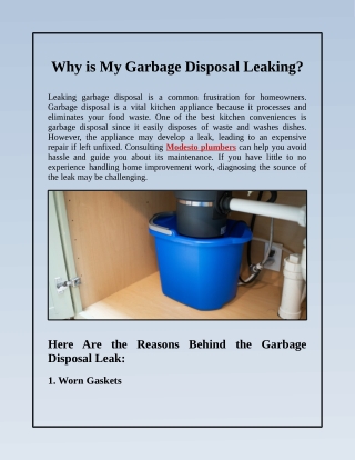 What Causes Leaking Garbage Disposal?