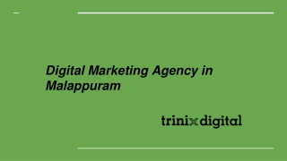 Digital Marketing Agency in Malappuram