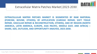 Extracellular Matrix Patches Market Competitive Landscape 2023-2030