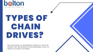 What are the different types of chain drives?