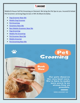 Pet Grooming Near Me