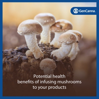 Mushrooms and Adaptogens - Private Label | Custom Formulations