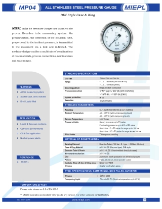 All Stainless Steel Pressure Gauge - DIN Style Case & Ring | India Pressure Gaug