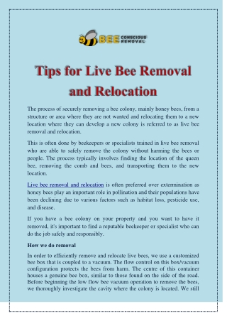 Tips for Live Bee Removal and Relocation