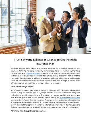 Trust Schwartz Reliance Insurance to Get the Right Insurance Plan