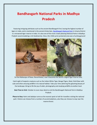 Explore Bandhavgarh National Parks in Madhya Pradesh