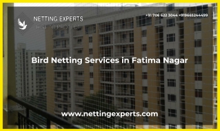 Bird Netting Services in Fatima Nagar