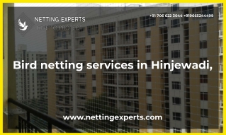 Bird netting services in Hinjewadi,