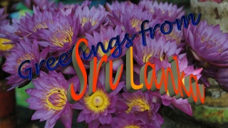 Sri Lanka Aluthgama weekly market