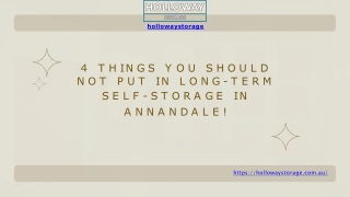 4 Things You Should Not Put In Long-Term Self-Storage In Annandale!