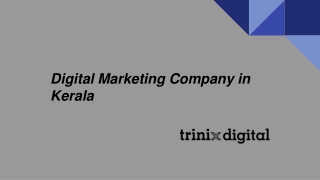 Digital Marketing Company in Kerala