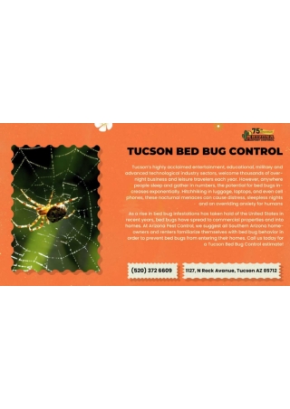 Tucson Bed Bug Control AZP