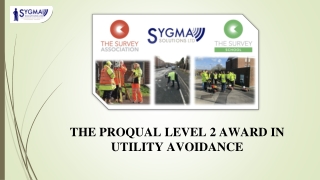 THE PROQUAL LEVEL 2 AWARD IN UTILITY AVOIDANCE