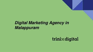 Digital Marketing Agency in Malappuram