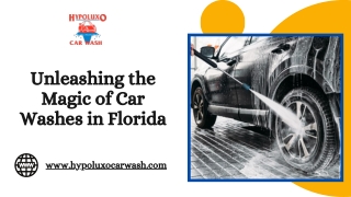 Uncovering the Magic of Car Washing In Florida