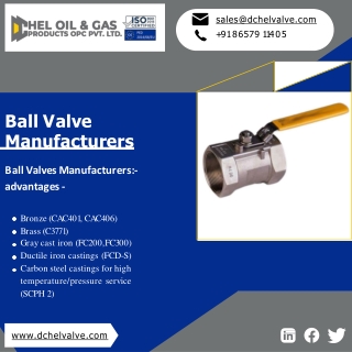 Check Valve | Plug Valve| Choke Valves - DChel Valves