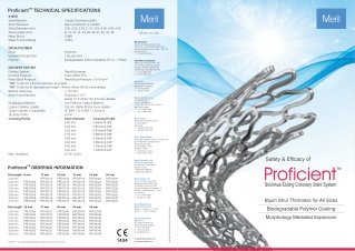 Know about Proficient - A Drug Eluting Stent Created by Meril Life