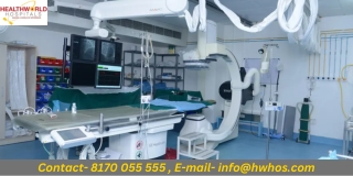 Knowing More About Leadless Pacemakers  HealthWorldHospitals