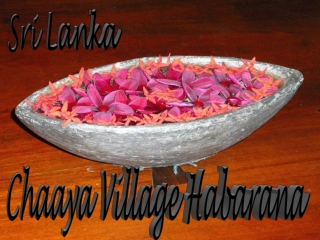 Sri Lanka Habarana1