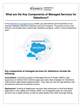 What are the Key Components of Managed Services for Salesforce