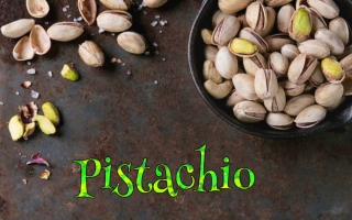 Pistacie - Pistachio (Judith)