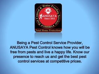 Best Anti Termite Services in Bhubaneswar