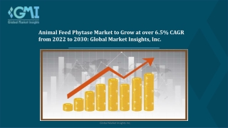 Animal Feed Phytase Market Trends, Growth and Forecast 2022 – 2030