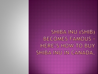 Shiba Inu (SHIB) becomes famous – Here’s how to buy Shiba Inu in Canada.