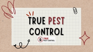 Pest Control Geelong | True Pest Control
