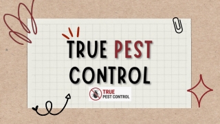 Pest Control Geelong
