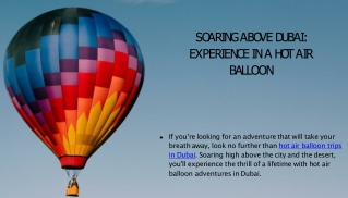 Soaring Above Dubai Experience in a Hot Air Balloon