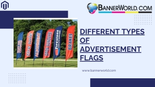 Different type of advertisement flags ppt