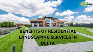 Benefits of residential landscaping services in Delta