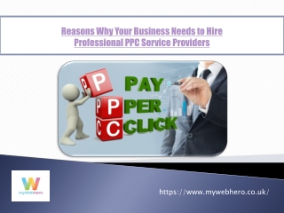 Reasons Why Your Business Needs to Hire Professional PPC Service Providers