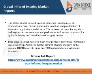 Infrared Imaging Market-SE