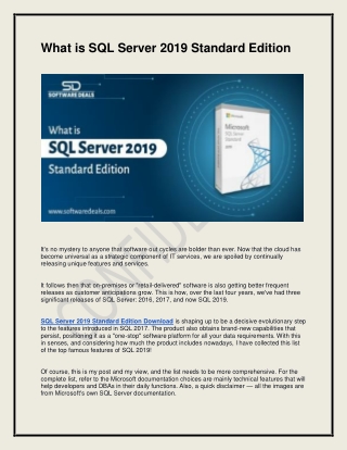 What is SQL Server 2019 Standard Edition