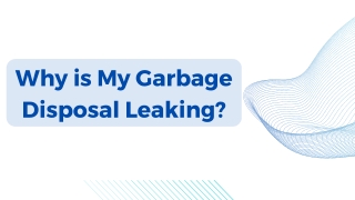 What Are the Reasons for Leaking Garbage Disposal?