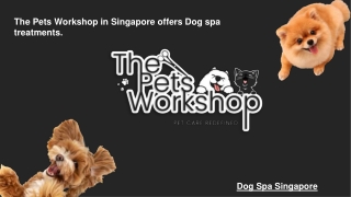 The Pets Workshop in Singapore offers Dog spa treatments