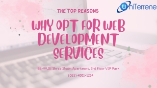 The Top Reasons Why Opt for Web Development Services