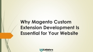 Why Magento Custom Extension Development Is Essential for Your Website